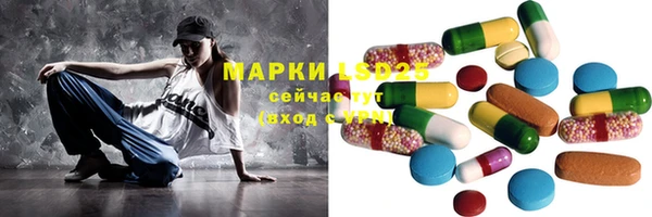 ГАЛЛЮЦИНОГЕННЫЕ ГРИБЫ Абаза