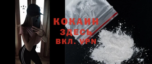 ГАЛЛЮЦИНОГЕННЫЕ ГРИБЫ Абаза