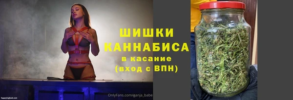 мдпв Нижний Тагил