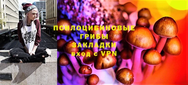 ГАЛЛЮЦИНОГЕННЫЕ ГРИБЫ Абаза