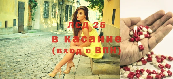 ГАЛЛЮЦИНОГЕННЫЕ ГРИБЫ Абаза