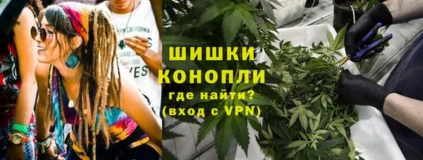 ГАЛЛЮЦИНОГЕННЫЕ ГРИБЫ Абаза